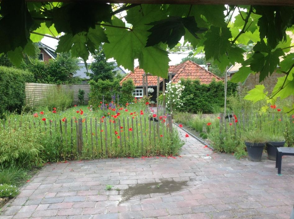 Wedzebuorren 13 Twijzel - Afbeelding 62.jpg