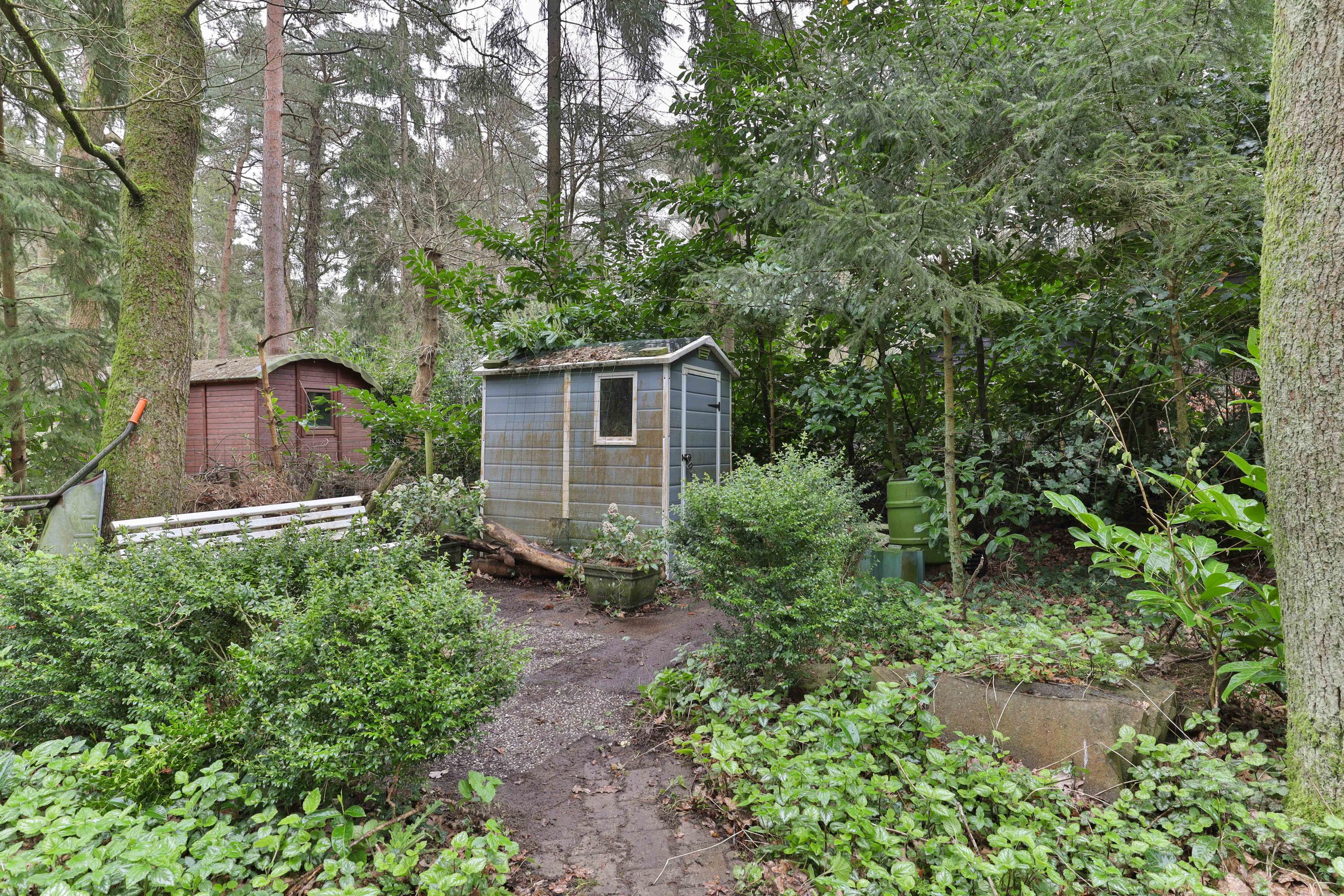 Wieringapad 1 Norg - Afbeelding 30.jpg