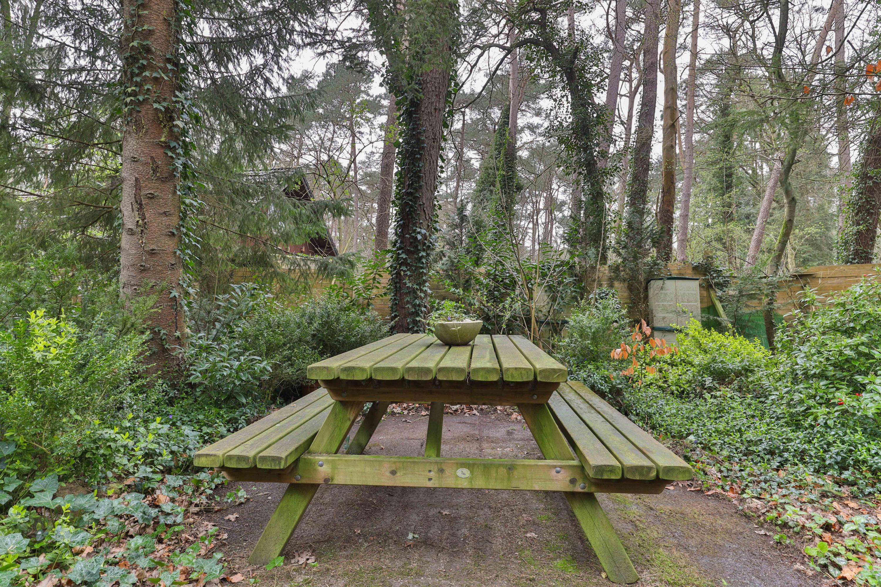 Wieringapad 1 Norg - Afbeelding 5.jpg