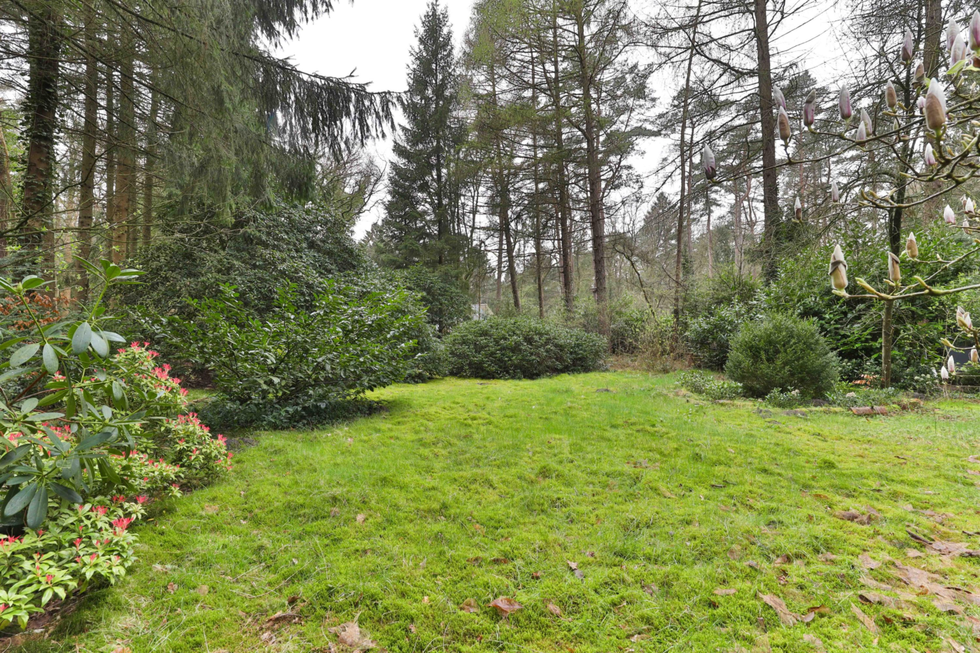 Wieringapad 1 Norg - Afbeelding 3.jpg