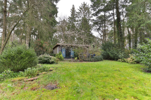 Wieringapad 1 Norg - Afbeelding 31.jpg