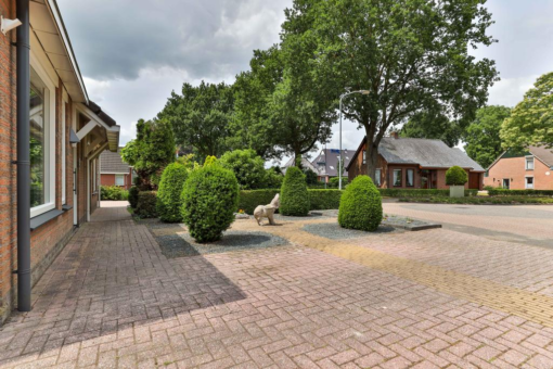 Zandumerweg 10 Niekerk - Afbeelding 10.jpg