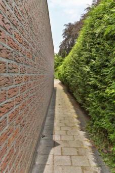 Zandumerweg 10 Niekerk - Afbeelding 41.jpg