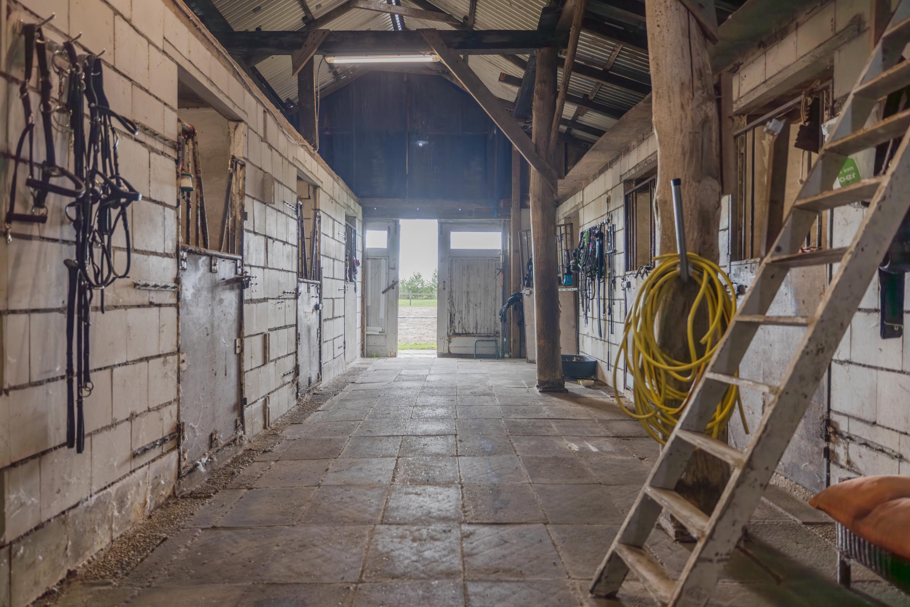 Zandumerweg 58 Oldekerk - Afbeelding 55.jpg