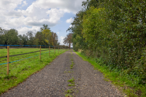 Zandumerweg 58 Oldekerk - Afbeelding 42.jpg