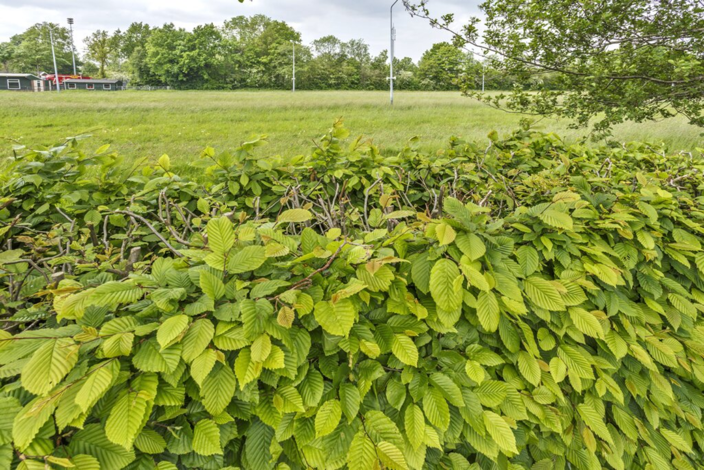 Zuiderkluft 2 Niekerk - Afbeelding 5.jpg