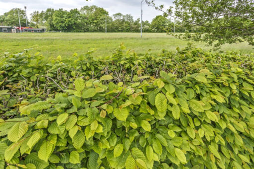 Zuiderkluft 2 Niekerk - Afbeelding 5.jpg
