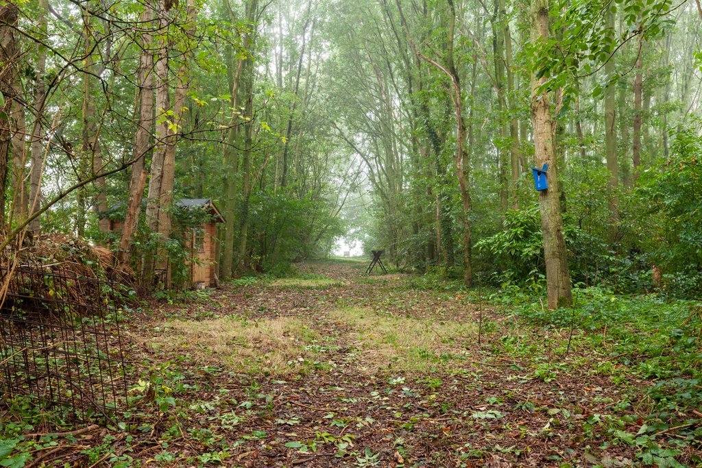 Zuiderweg 12 Opende - Afbeelding 17.jpg