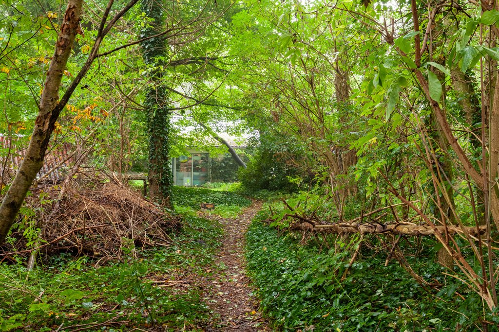 Zuiderweg 12 Opende - Afbeelding 22.jpg