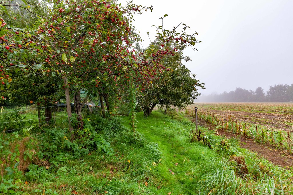 Zuiderweg 12 Opende - Afbeelding 23.jpg
