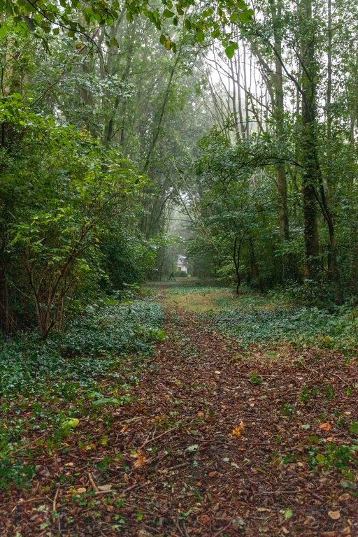 Zuiderweg 12 Opende - Afbeelding 28.jpg