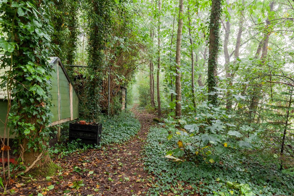 Zuiderweg 12 Opende - Afbeelding 41.jpg