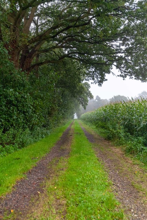 Zuiderweg 12 Opende - Afbeelding 48.jpg