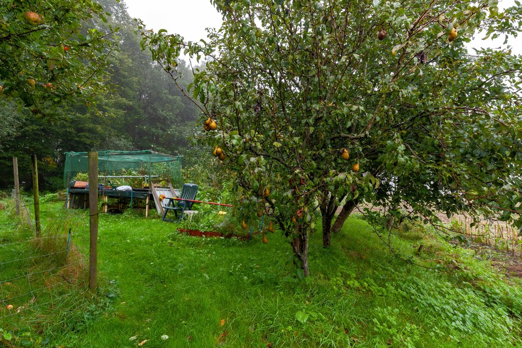 Zuiderweg 12 Opende - Afbeelding 54.jpg