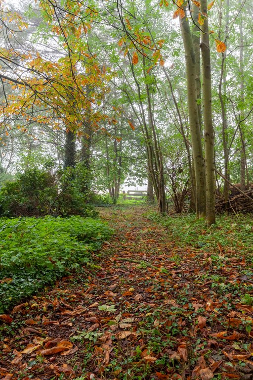 Zuiderweg 12 Opende - Afbeelding 55.jpg