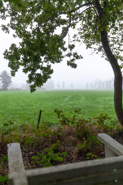 Zuiderweg 12 Opende - Afbeelding 58.jpg