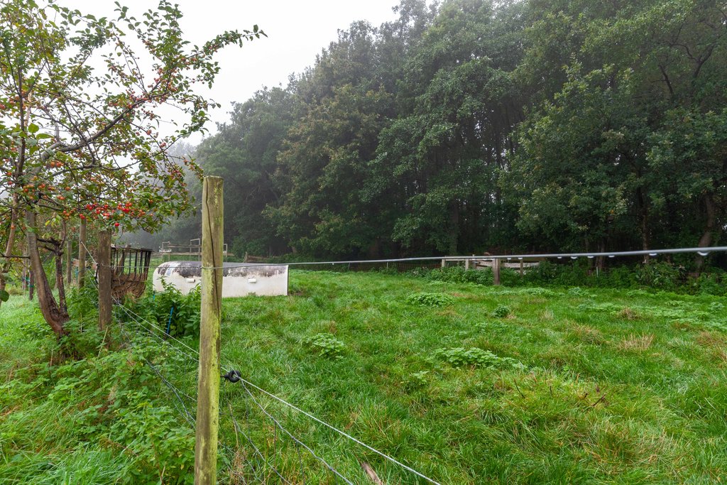 Zuiderweg 12 Opende - Afbeelding 6.jpg