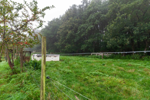 Zuiderweg 12 Opende - Afbeelding 6.jpg