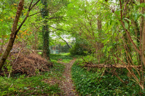 Zuiderweg 12 Opende - Afbeelding 22.jpg