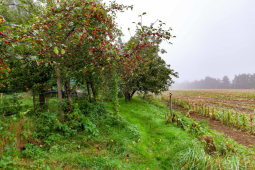 Zuiderweg 12 Opende - Afbeelding 23.jpg