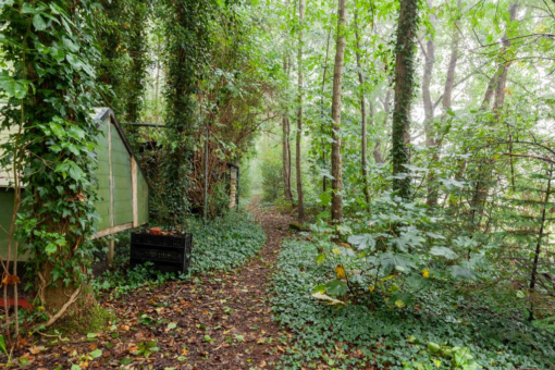 Zuiderweg 12 Opende - Afbeelding 41.jpg