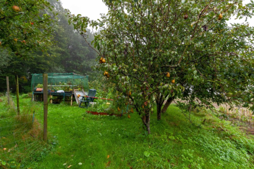 Zuiderweg 12 Opende - Afbeelding 54.jpg