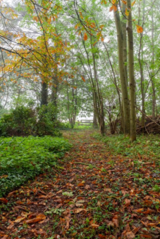 Zuiderweg 12 Opende - Afbeelding 55.jpg