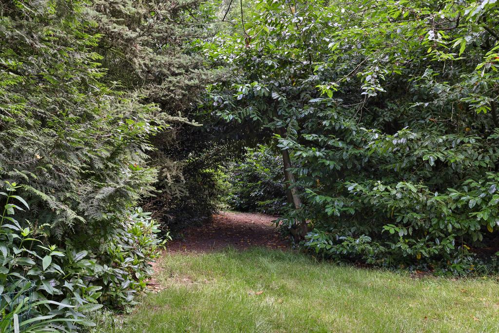 Zuiderweg 5 Opende - Afbeelding 39.jpg