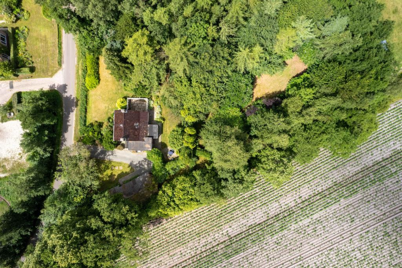 Zuiderweg 5 Opende - Afbeelding 4.jpg